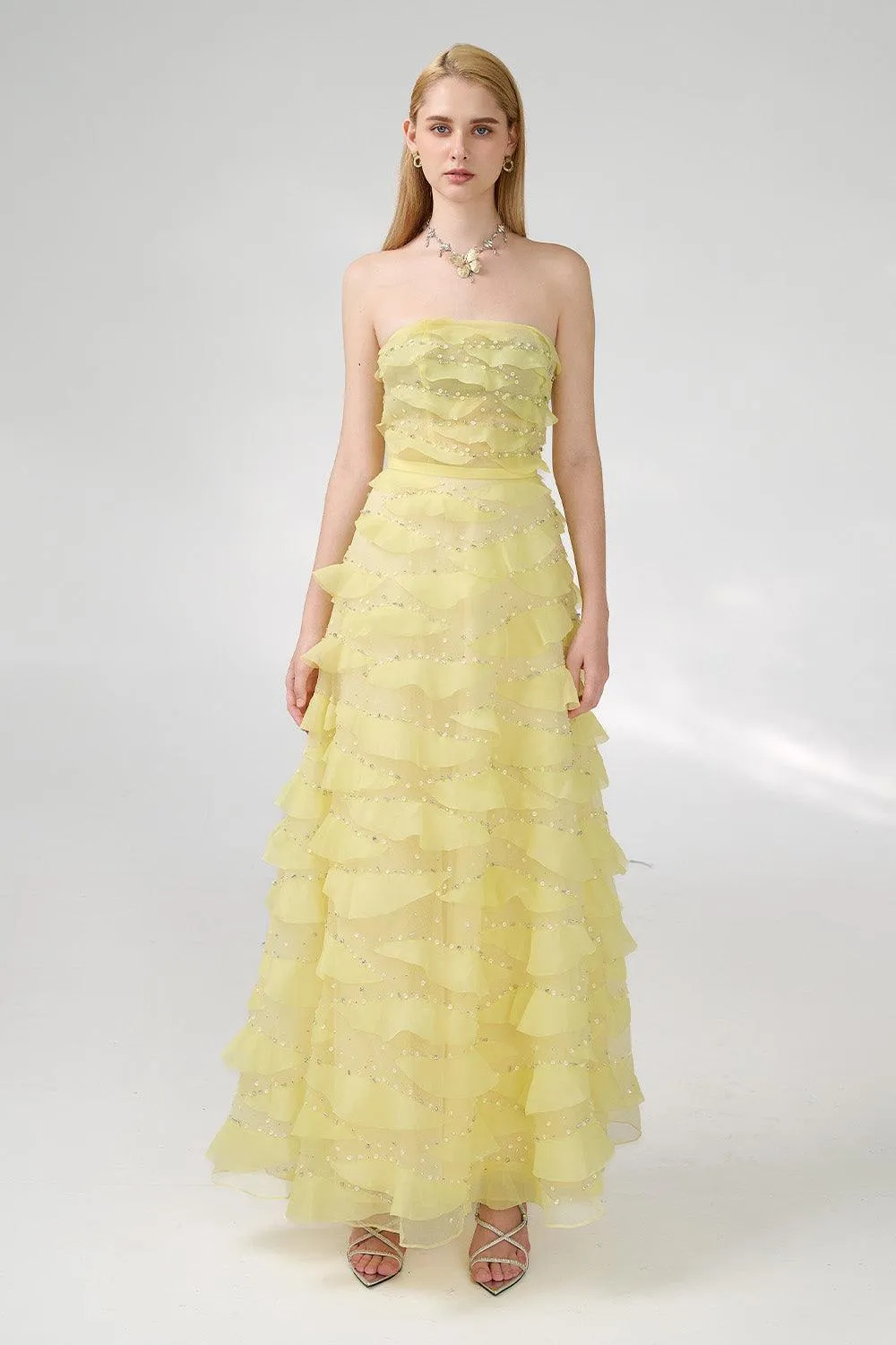 Arjun Strapless Stone Organza Floor Length Dress