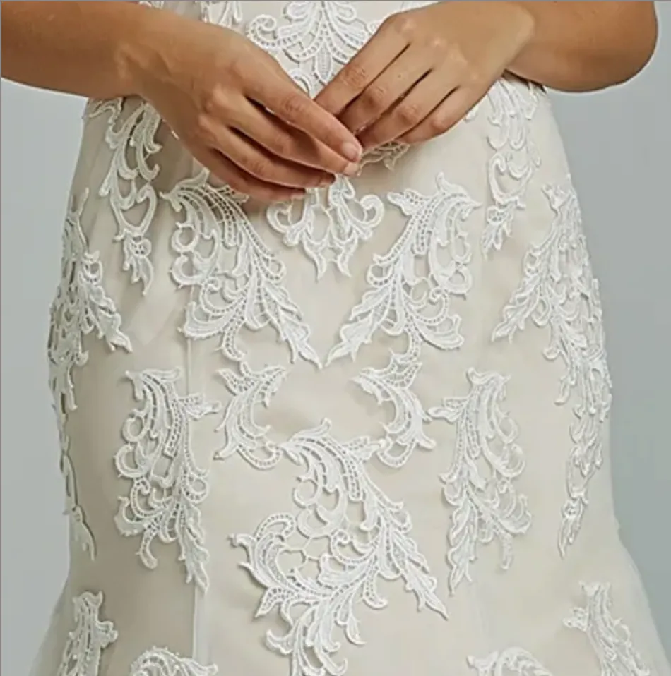 Gorgeous Appliques V Neck Fit & Flare Wedding Gown